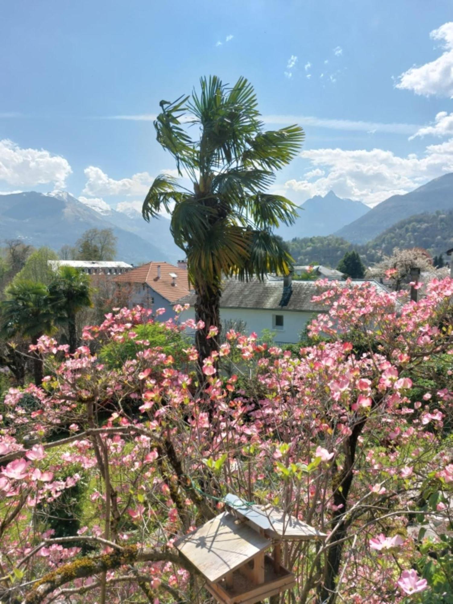 Logis Hotel Beau Site Argelès-Gazost Exteriör bild